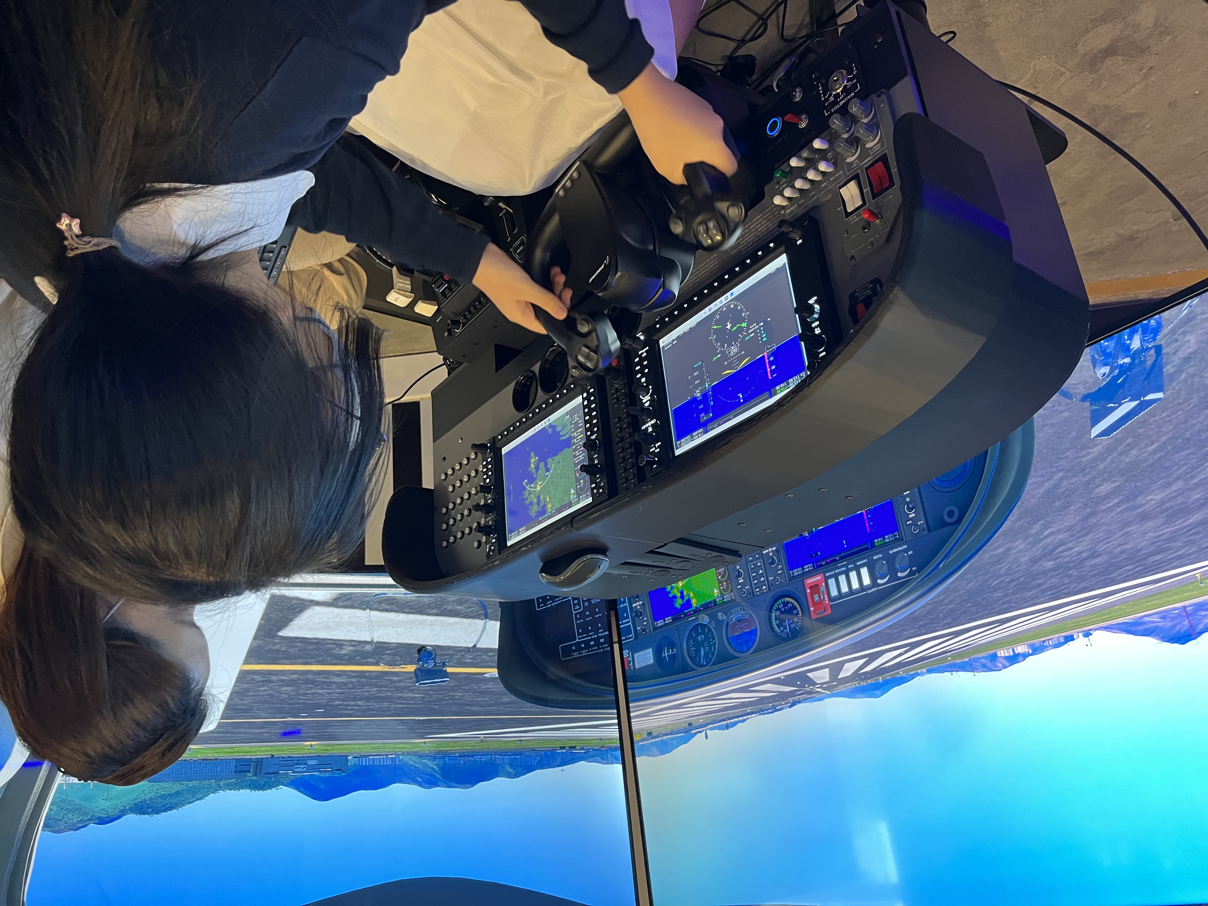 flight simulation experience